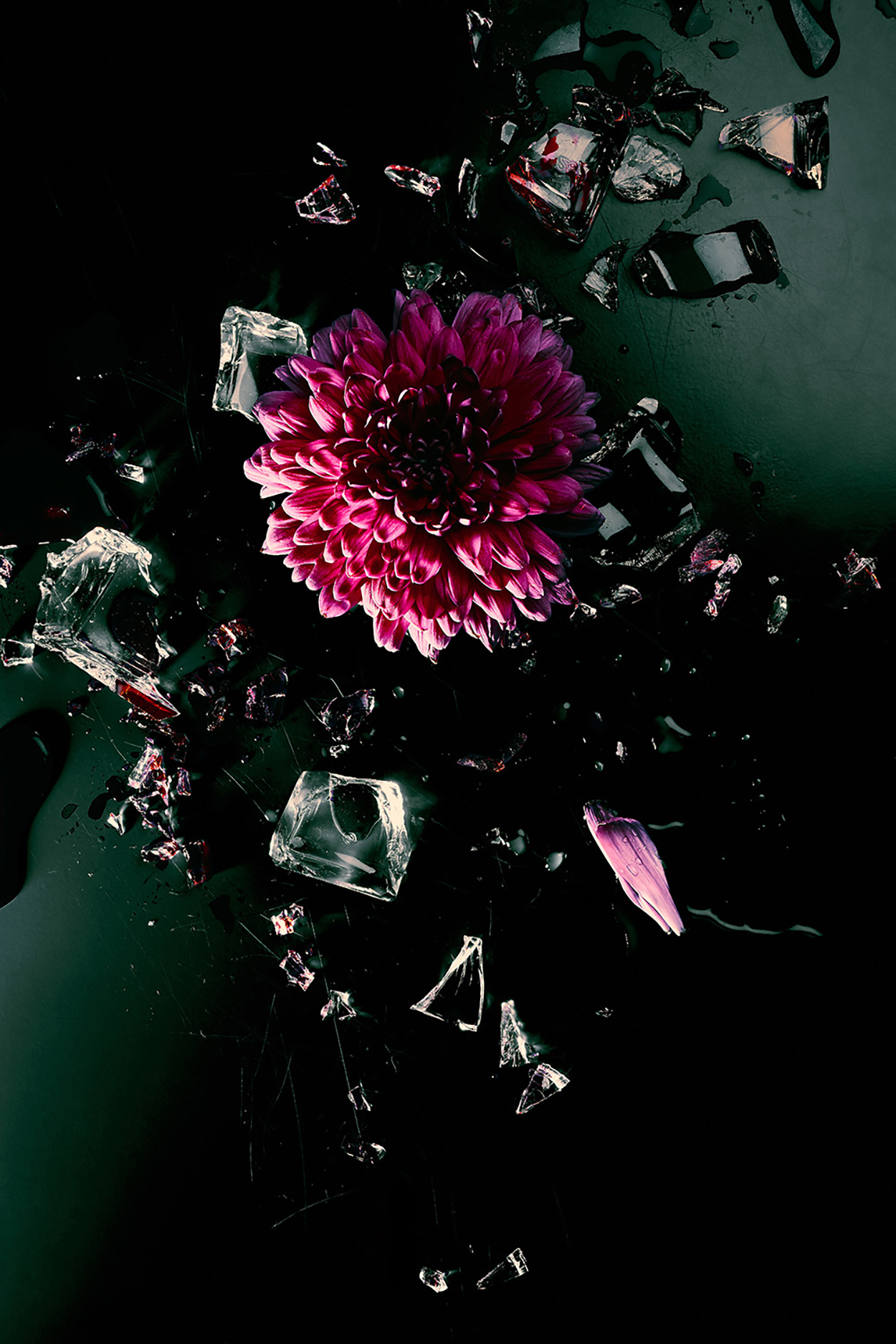 Project Two Cover